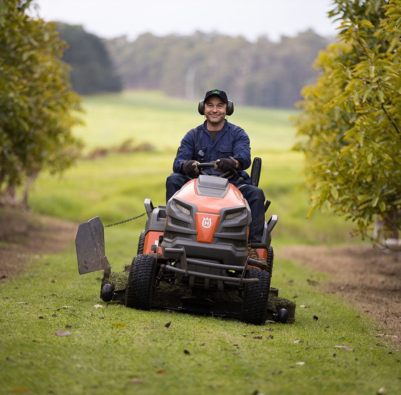 lawnmowing-front-avocado-800x788