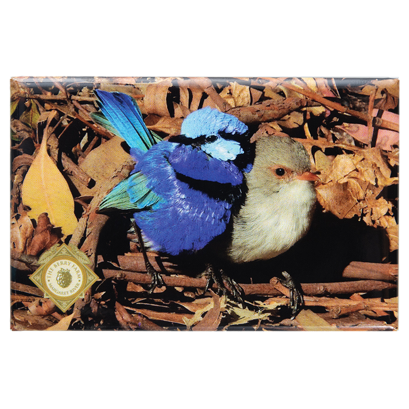 Magnet featuring two blue wrens sitting on a stick